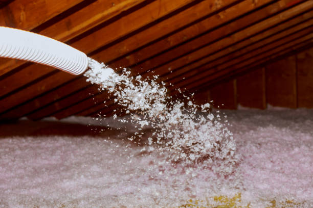 Best Insulation for New Construction  in Edgemont Park, MI