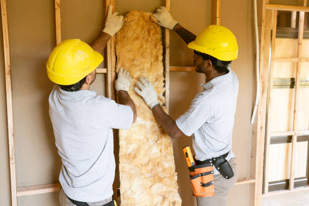 Best Home Insulation Services  in Edgemont Park, MI